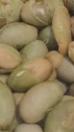אדממה מטוגנת ק"ג